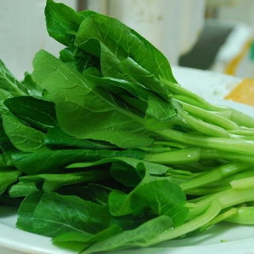 菜心是什么菜