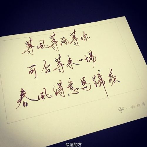 什么风什么雨