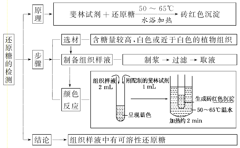 还原糖有哪些