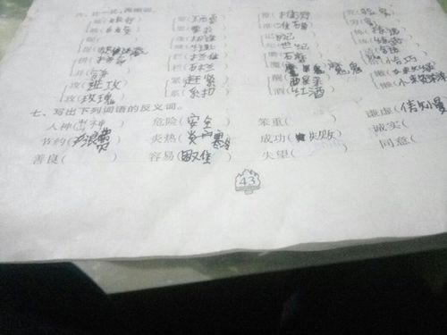 冷静的反义词