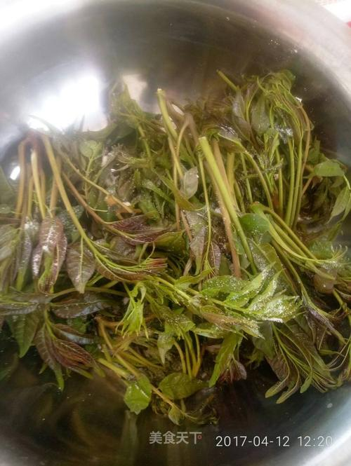 腌香椿怎么做