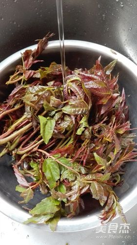 腌香椿怎么做