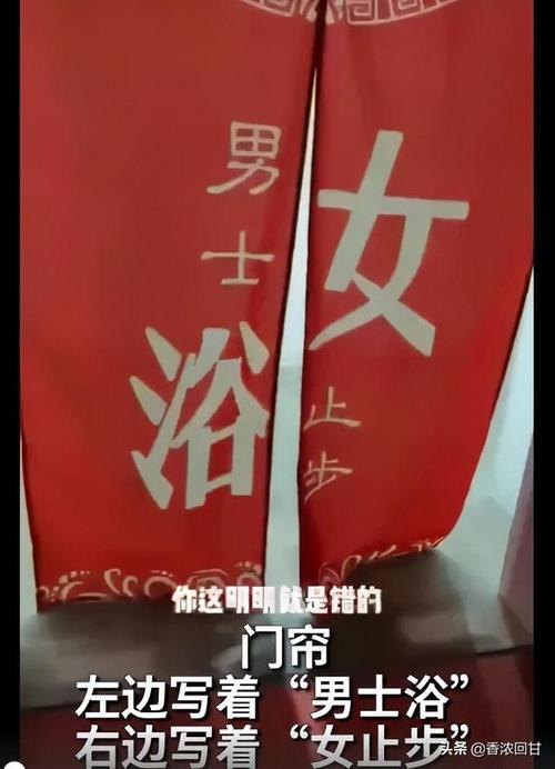 乱入什么意思