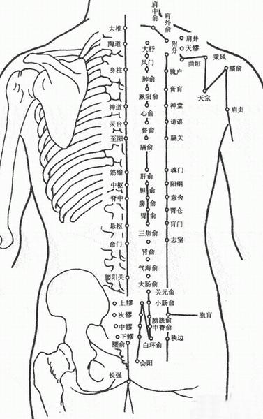 手什么足什么