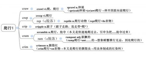 爬是什么意思