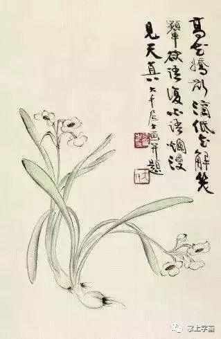 水仙花的诗句