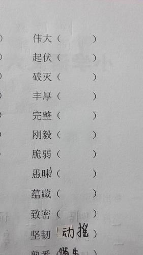脆弱的反义词