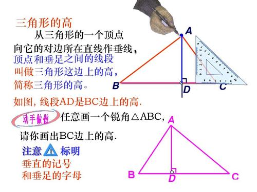 三角形的中线