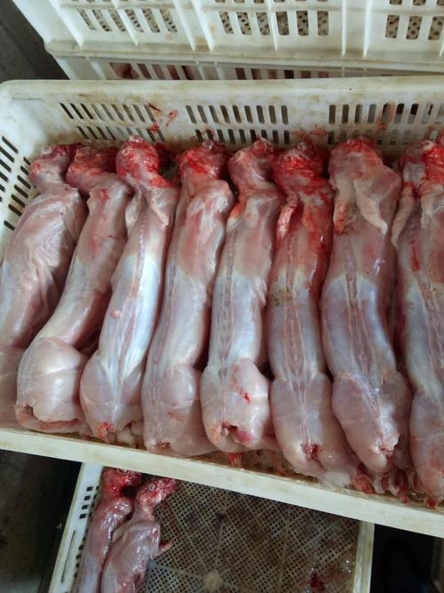 兔子怎样宰杀