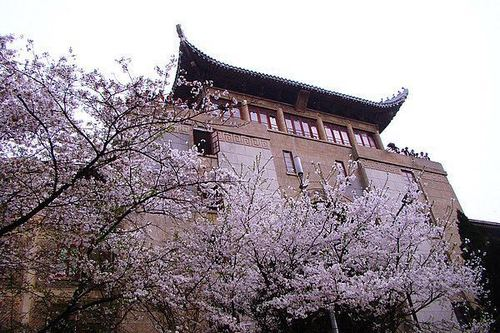 武汉大学面积