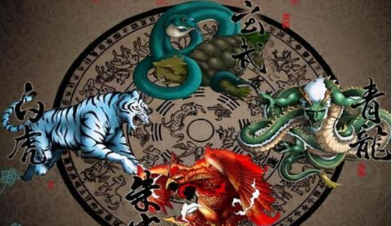 白虎指的什么