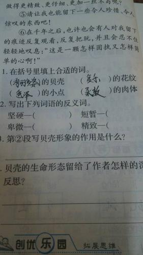 渺小的反义词