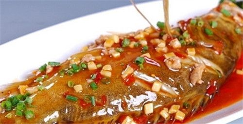 怎样做桂鱼好吃