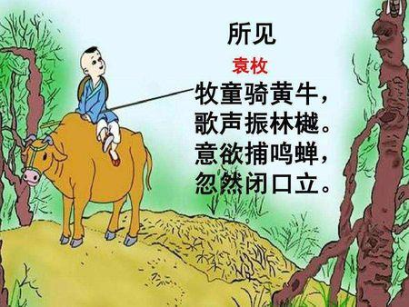 意欲捕鸣蝉全诗