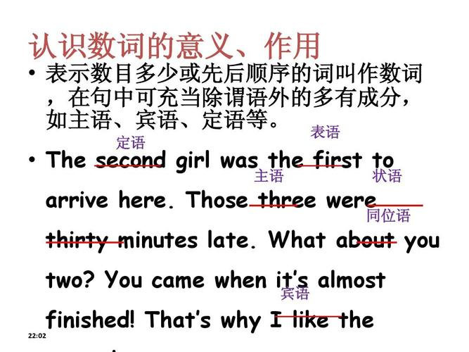 数词是什么意思