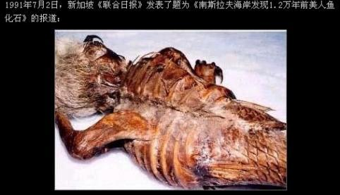 人鱼真的存在吗