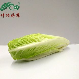 生菜的吉祥寓意