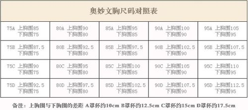 内衣尺码怎么看