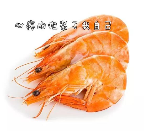 基围虾是发物吗