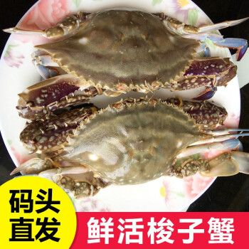 白蟹是梭子蟹吗