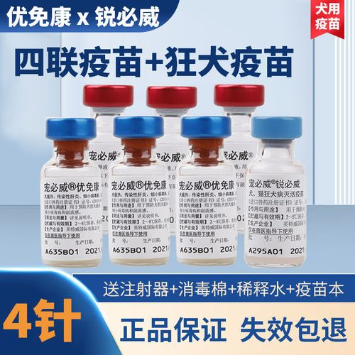 狗的疫苗多少钱