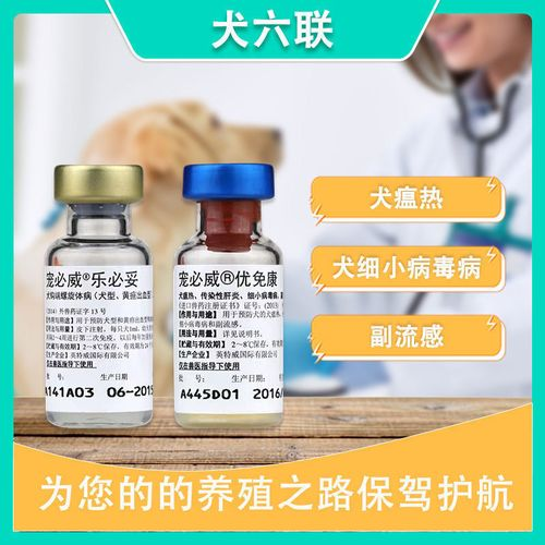 狗的疫苗多少钱