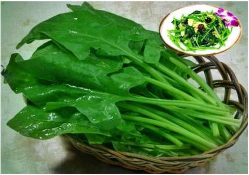 菠菜英语怎么读
