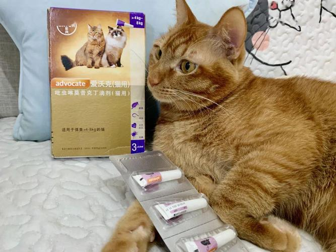猫驱虫多久一次