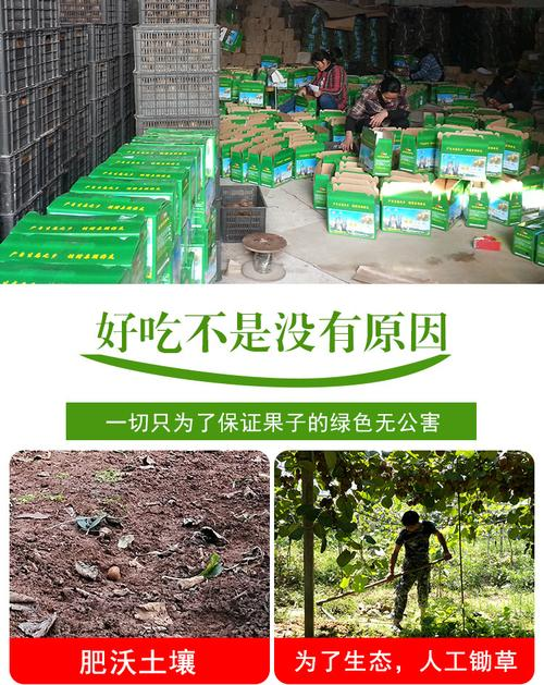 猕猴桃保存方法