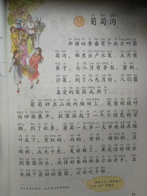 葡萄读音是什么