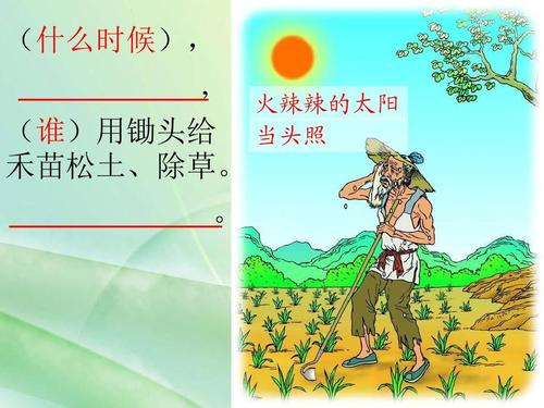 悯农的意思全解