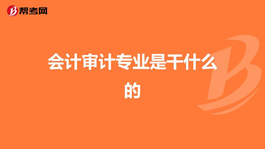 审计是什么工作