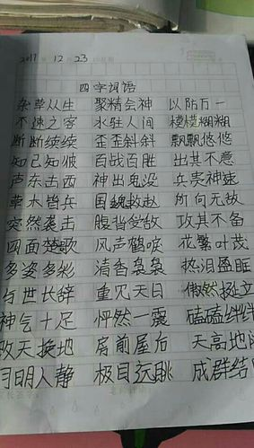 四字以上的词语