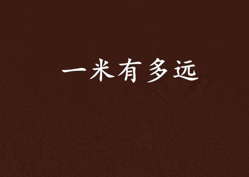 一米是多少公分